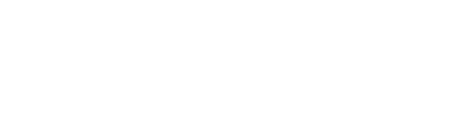 DESE Literacy Logo